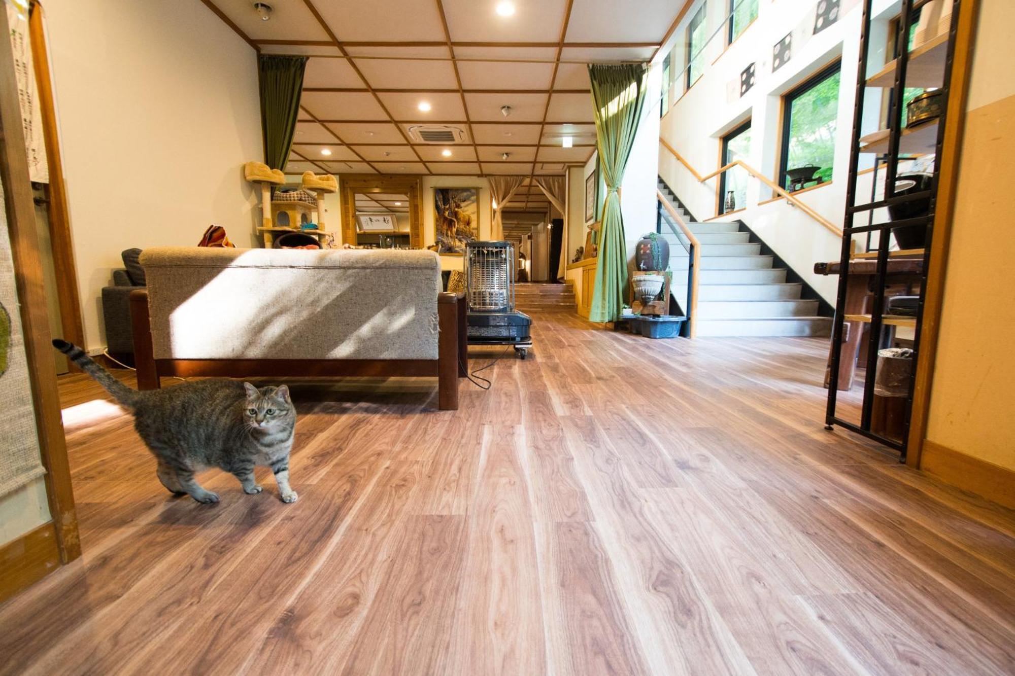 Akasawa Onsen Ryokan Nasushiobara Exterior photo